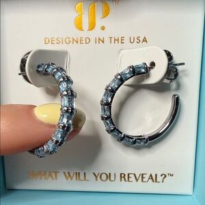 BP March 2026 Earrings - Dream Chaser